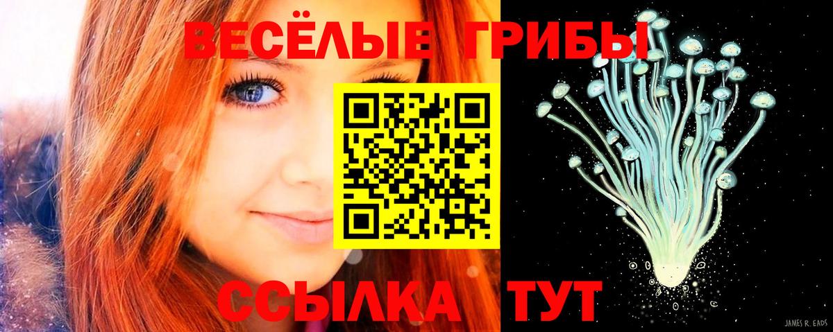 Галлюциногенные грибы прущие грибы Шахты