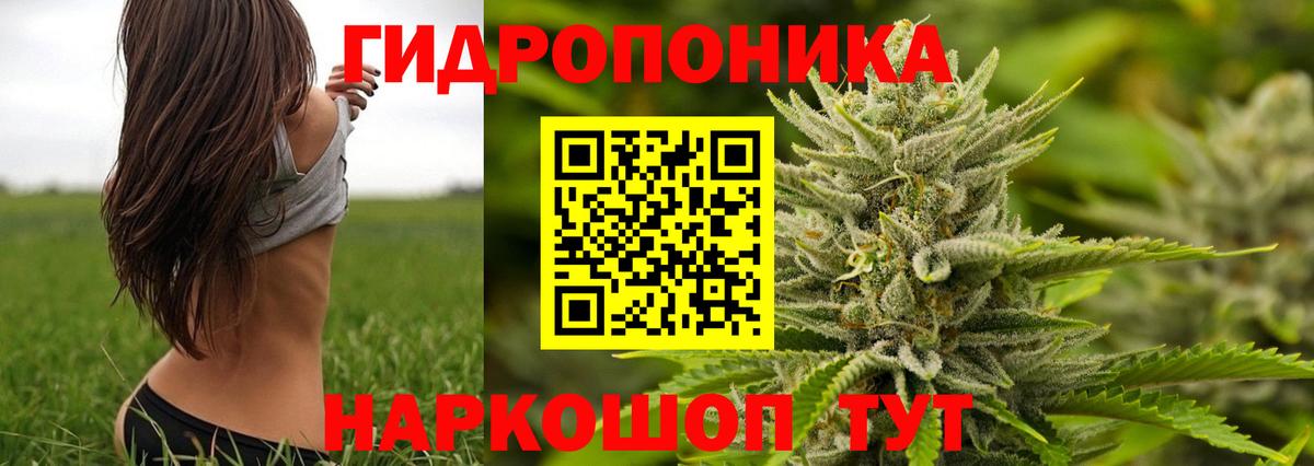 Каннабис AK-47  Вход с VPN  Шишки марихуана ГИДРОПОН  Шахты  Канабис гибрид 